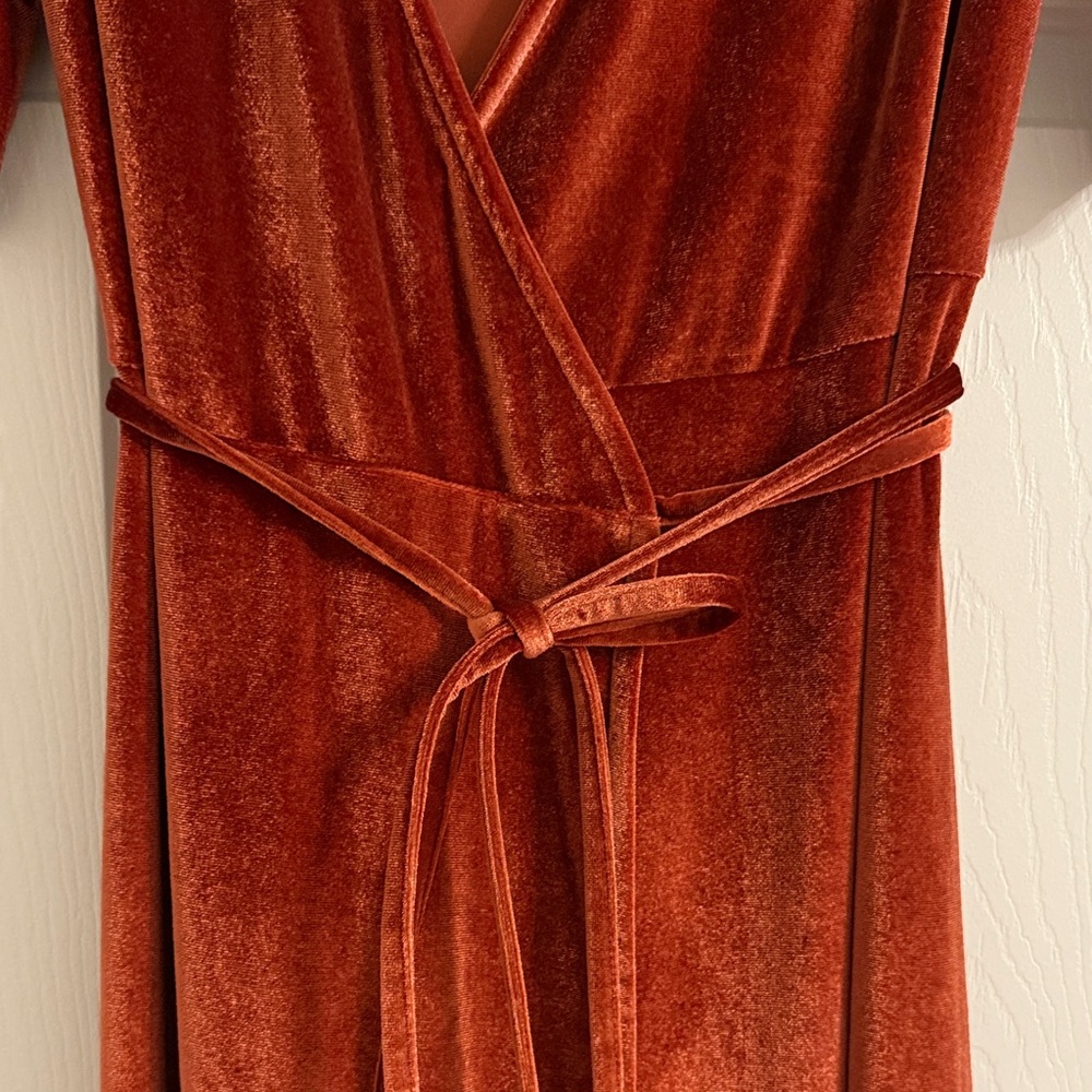 Baltic Born Rust Velvet Maxi Dress - Picture 4 of 7